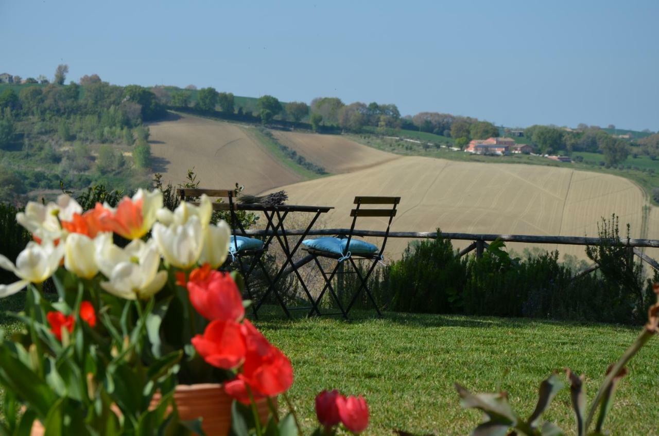 Bed and Breakfast Il Posto Perfetto Santa Maria Nuova  Exteriér fotografie